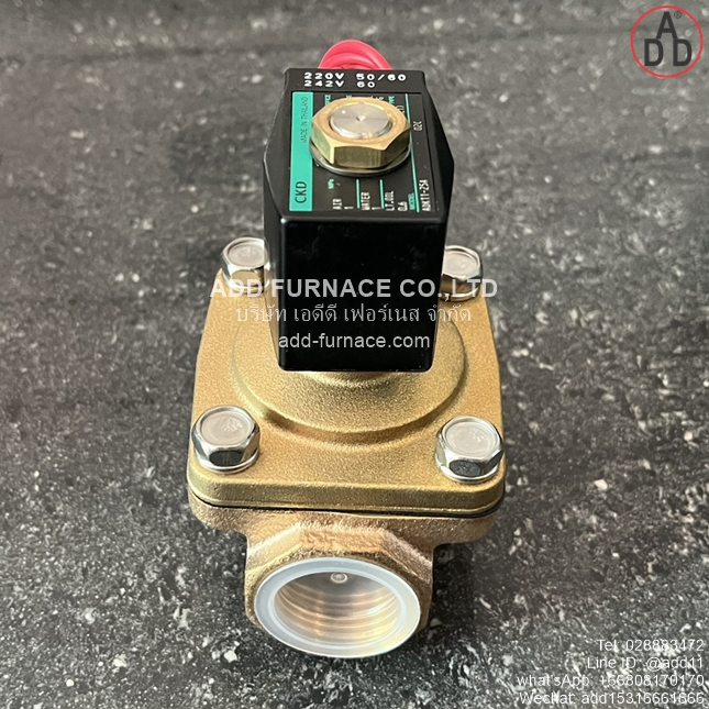 ADK11-25A-02C-AC220V (5) 